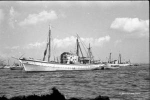 Filippo Fundarò 1955 orgoglio di una famiglia di marinai sulla nuova barca .