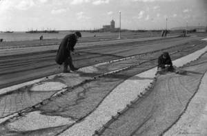 Rosario Bonventre 1958, quando le strade del porto venivano .usate per riparare ed asciugare le reti